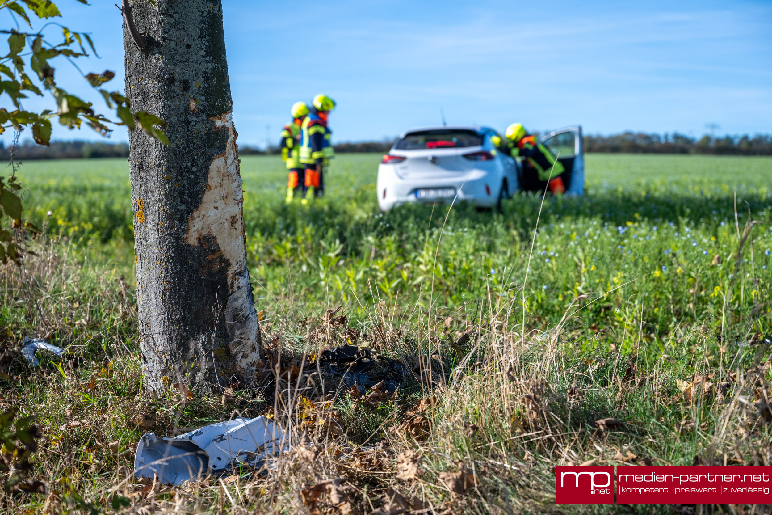 Junge Frau prallt mit Dienstwagen gegen Baum