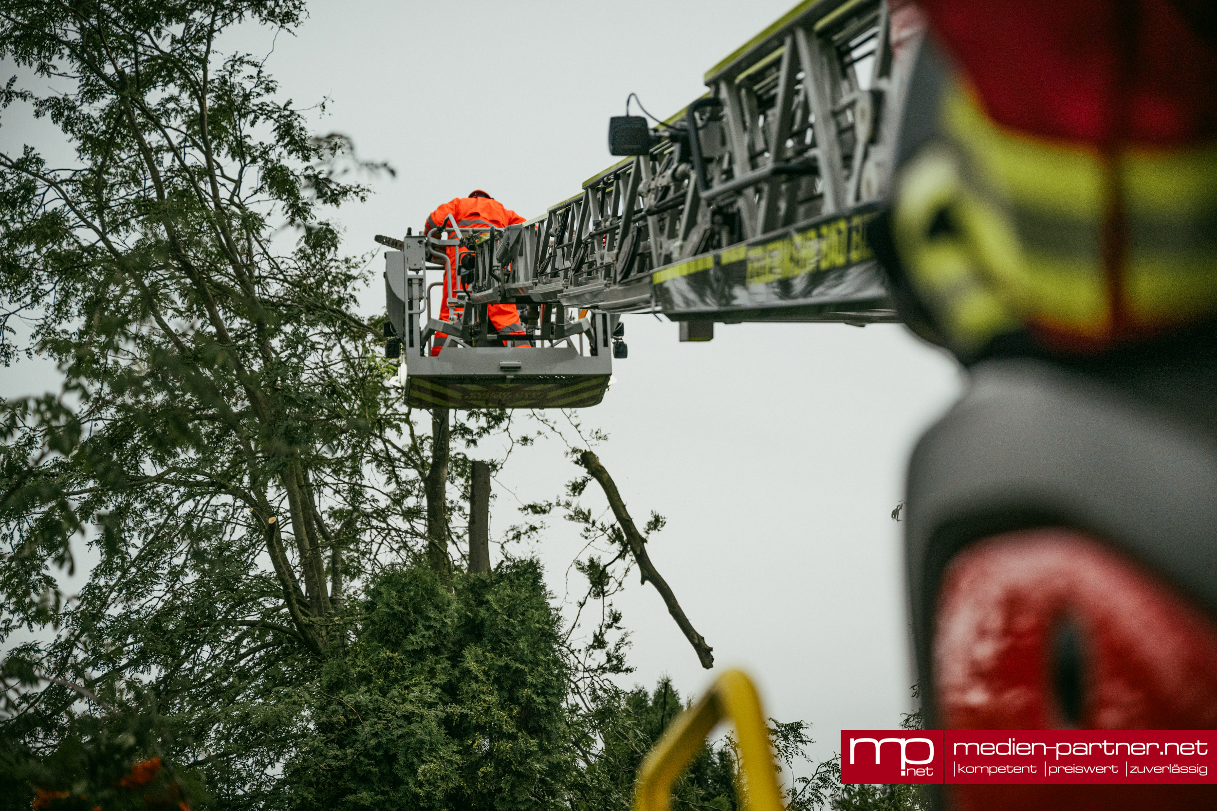 Gefahr gebannt: Feuerwehr fällt Baum